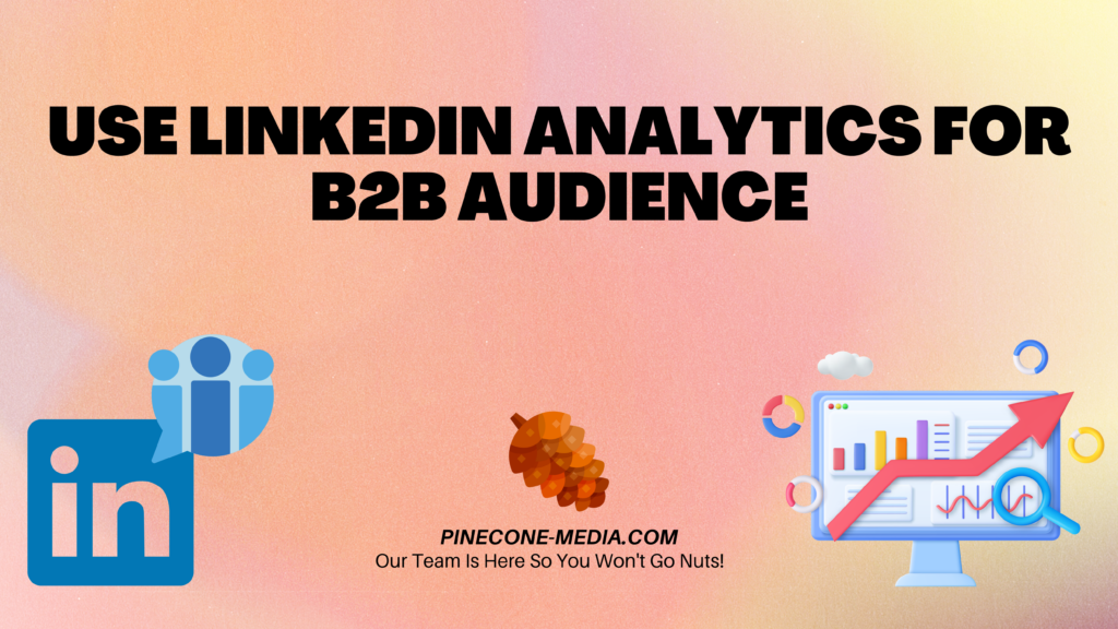 How to Use LinkedIn Analytics for a B2B Audience